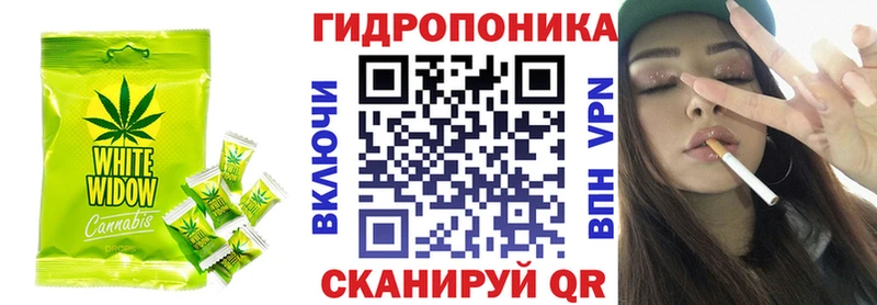 Canna-Cookies марихуана  OMG зеркало  Северская 