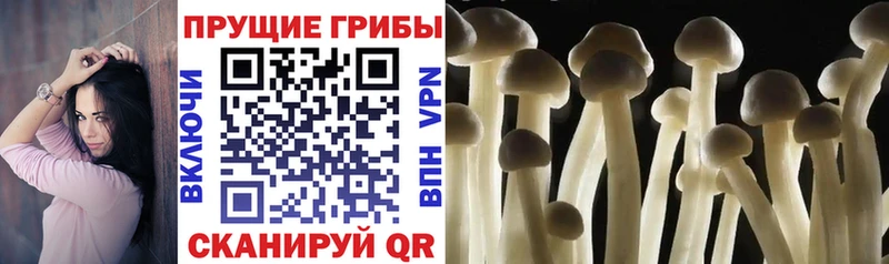 Псилоцибиновые грибы мухоморы  Северская 
